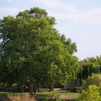 Photo de France - Le Jardin de Saint-Adrien : une oasis de verdure